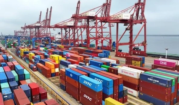 China-Brazil FCL Shipping
